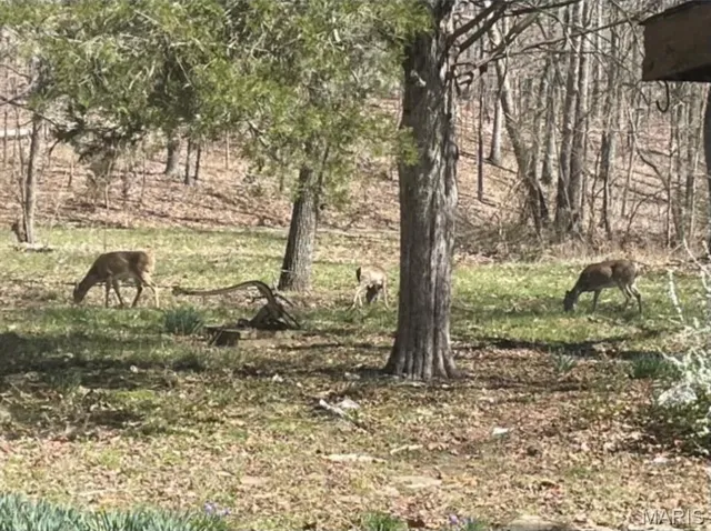 $1,075,000 | 0 County Road 349, Piedmont, MO 63957