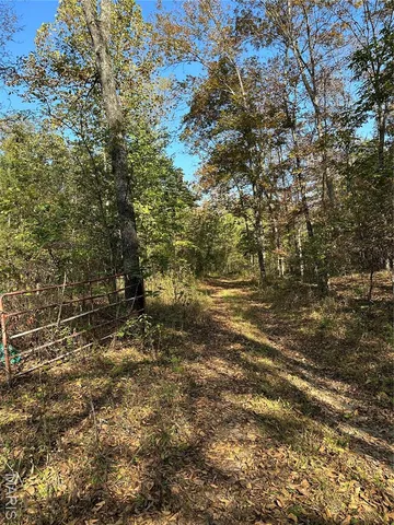 $1,075,000 | 0 County Road 349, Piedmont, MO 63957