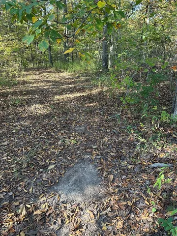 $1,075,000 | 0 County Road 349, Piedmont, MO 63957