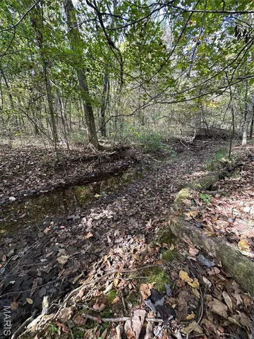 $1,075,000 | 0 County Road 349, Piedmont, MO 63957