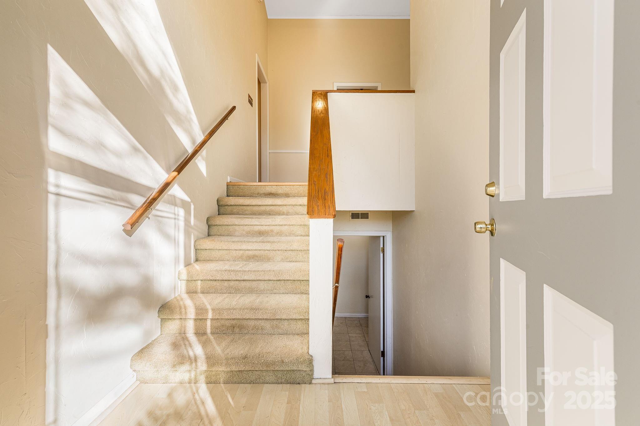 31 Covewood Road Asheville, NC 28805 - Photo 4 of 44