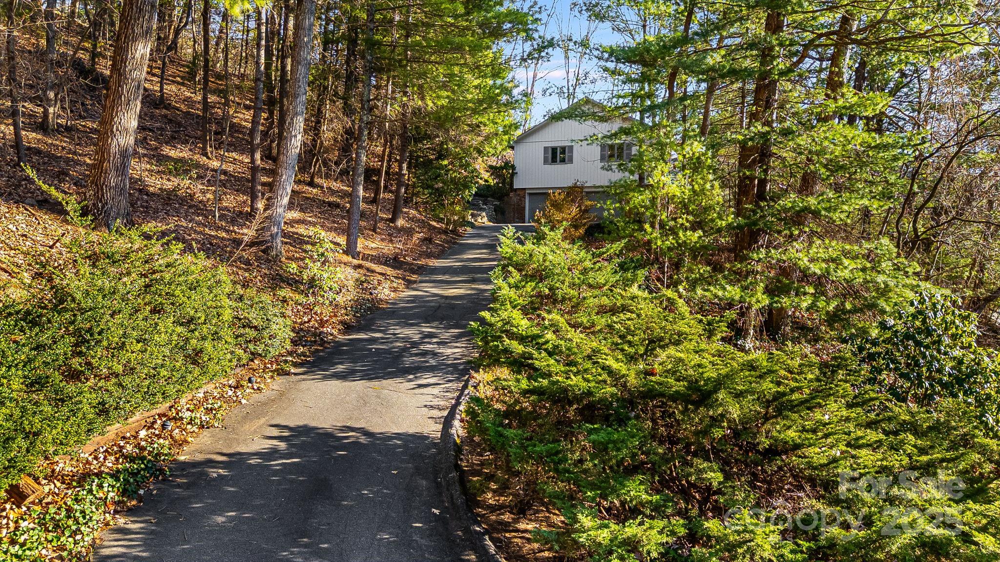 31 Covewood Road Asheville, NC 28805 - Photo 43 of 44