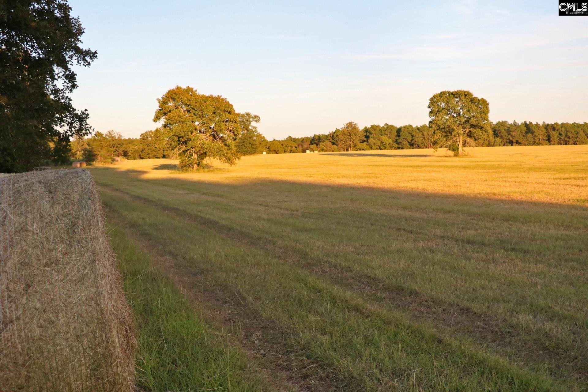 Tbd Browns Pond Road Wagener, SC 29164 - Photo 20 of 48