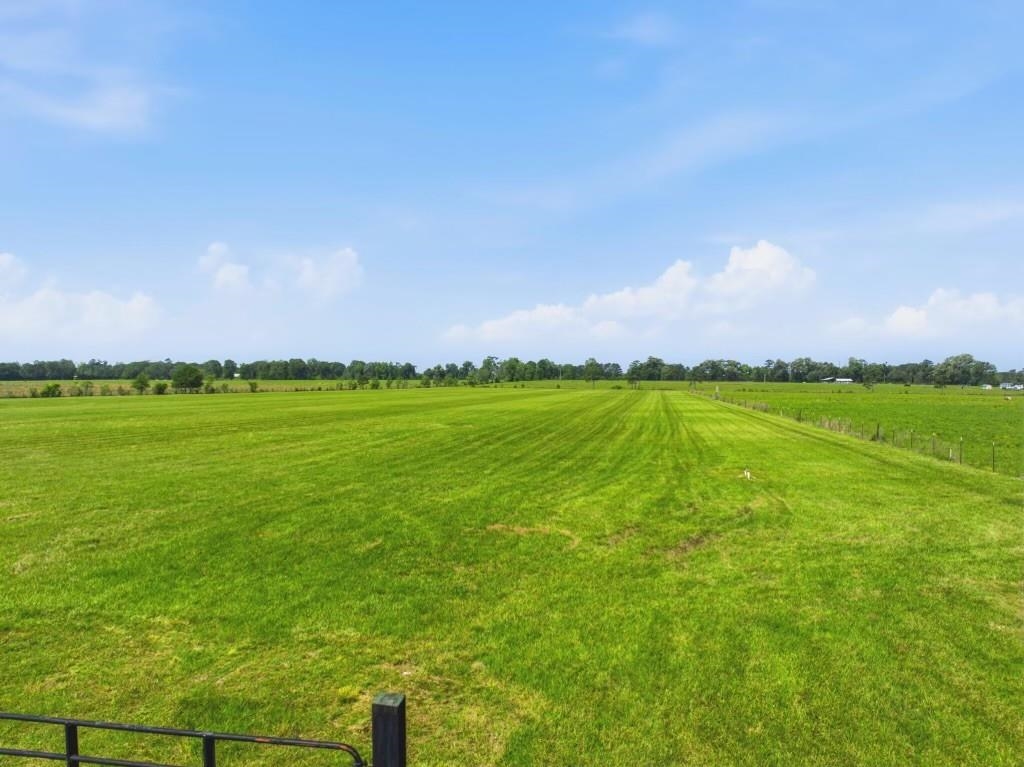 13018 Highway 113 Reeves, LA 70658 - Photo 6 of 7