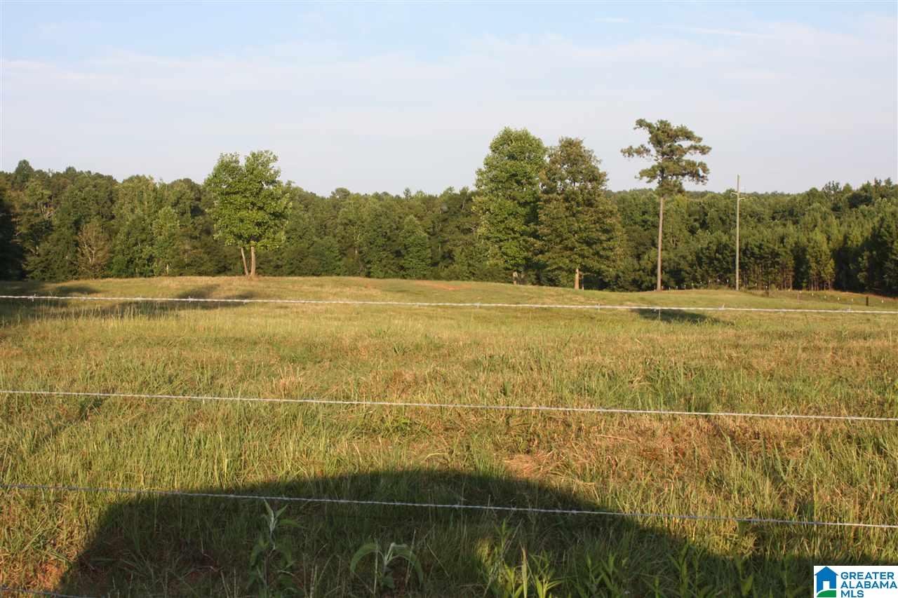 0 Louina Road Roanoke, AL 36274 - Photo 19 of 33