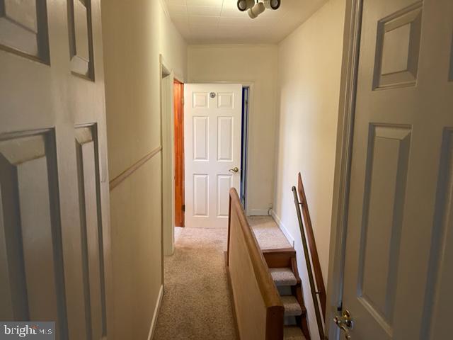 919 Tree Street Philadelphia, PA 19148 - Photo 22 of 23