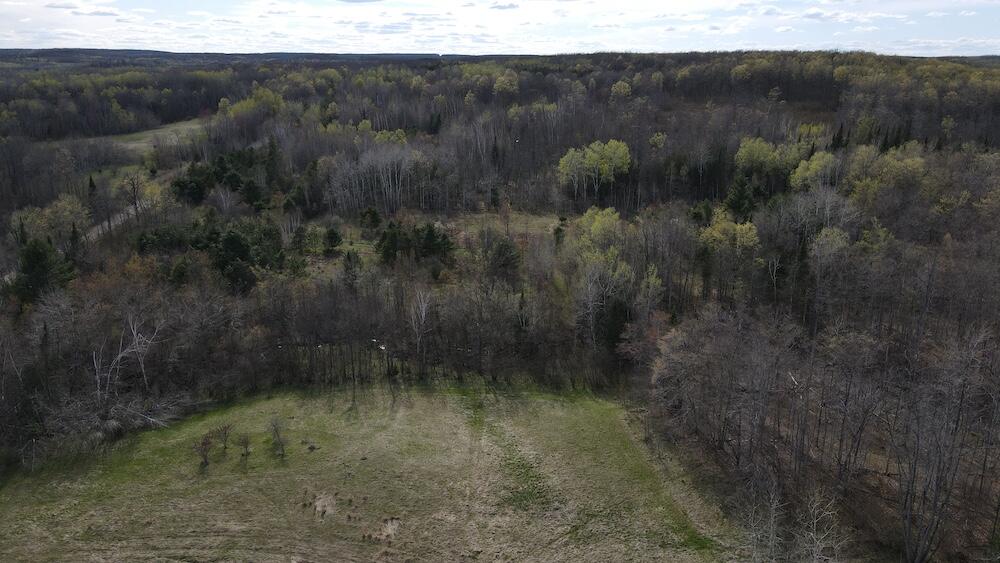 Vl Curtisville Road Mio, MI 48647 - Photo 16 of 141 DJI_0730