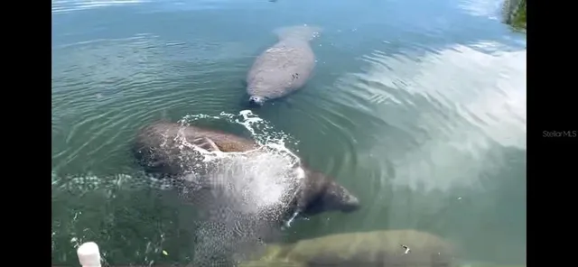 a view of a room with wooden walls