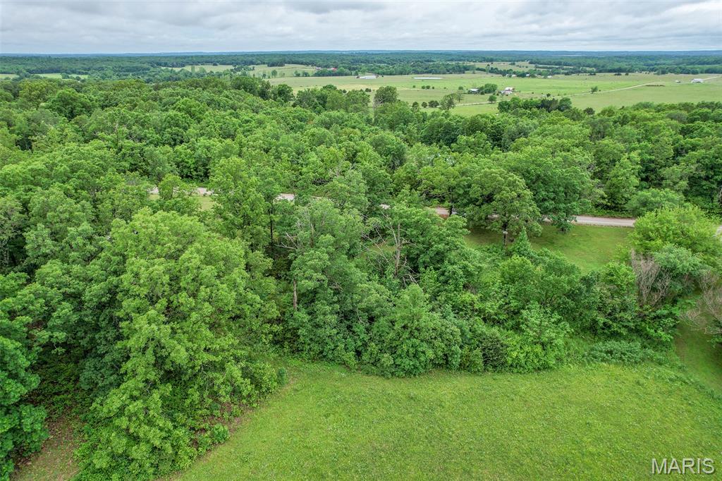 103 Handley Road Conway, MO 65632 - Photo 8 of 23