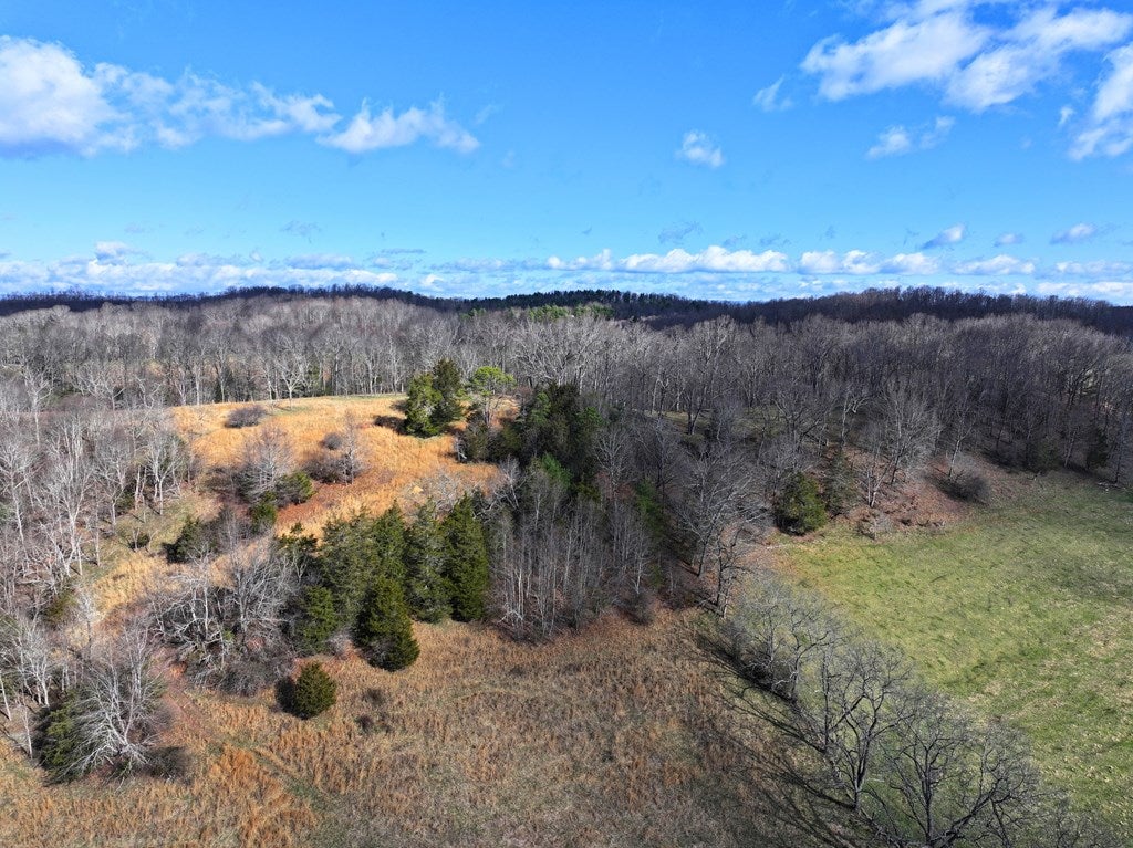 892 Ward Branch Road Crockett, VA 24323 - Photo 47 of 50 Gallery Image 47