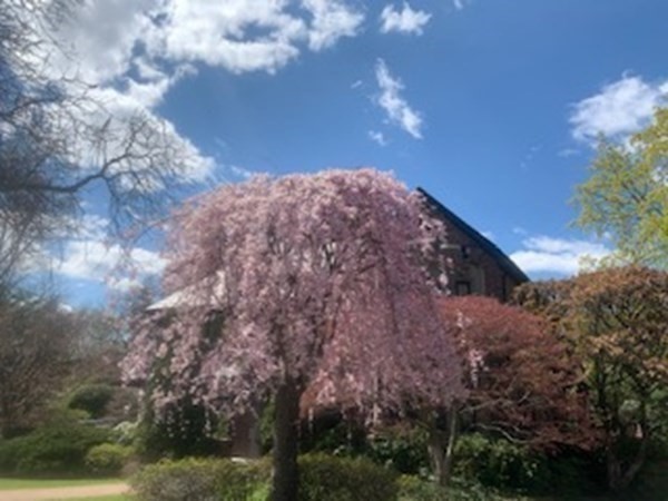 85 Willard Road Brookline, MA 02445 - Photo 10 of 10