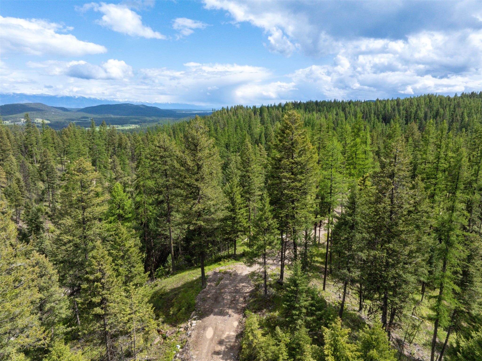 2290 Mountain Home Road Whitefish, MT 59937 - Photo 9 of 32 Gallery Image 9