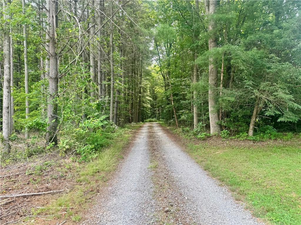 919 Maple Grove Church Road Hays, NC 28635 - Photo 3 of 45