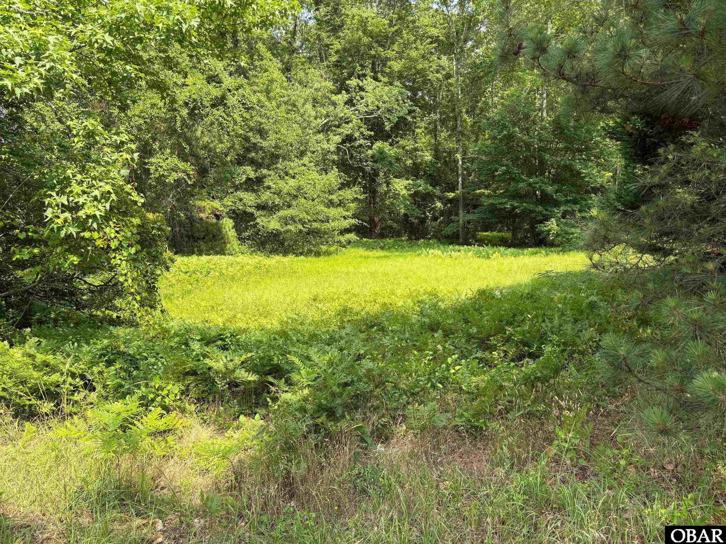 942 Burnside Road Manteo, NC 27954 - Photo 2 of 2