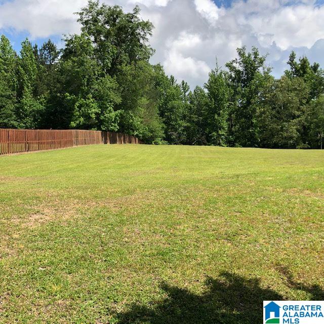 5045 Hollis Goodwin Road Dora, AL 35062 - Photo 30 of 38