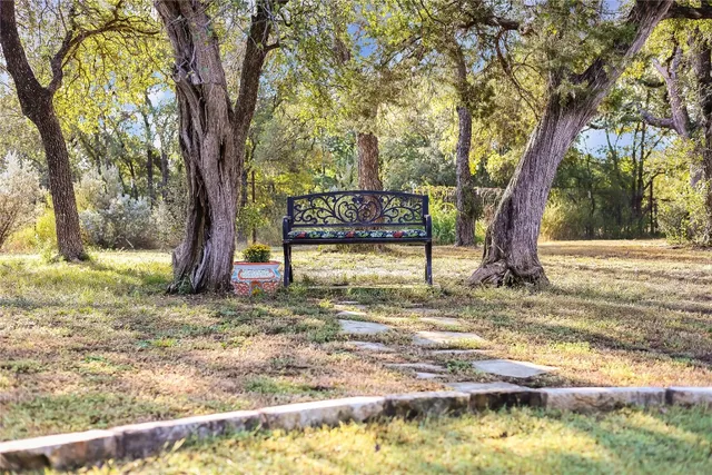 a view of a yard with trees in the background
