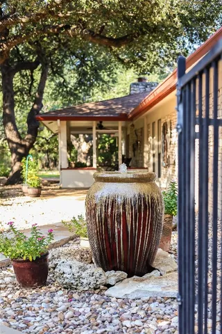a view of a backyard that has a fountain and plants