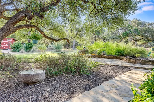a view of a backyard with plants and trees