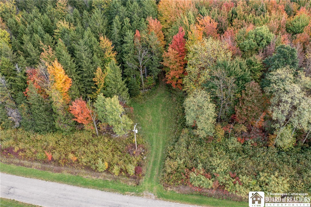 8170 Campbell Road Portland, NY 14769 - Photo 20 of 28 Gallery Image 20