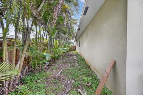 a close up of a plant in a garden