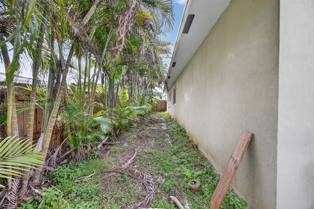 a close up of a plant in a garden