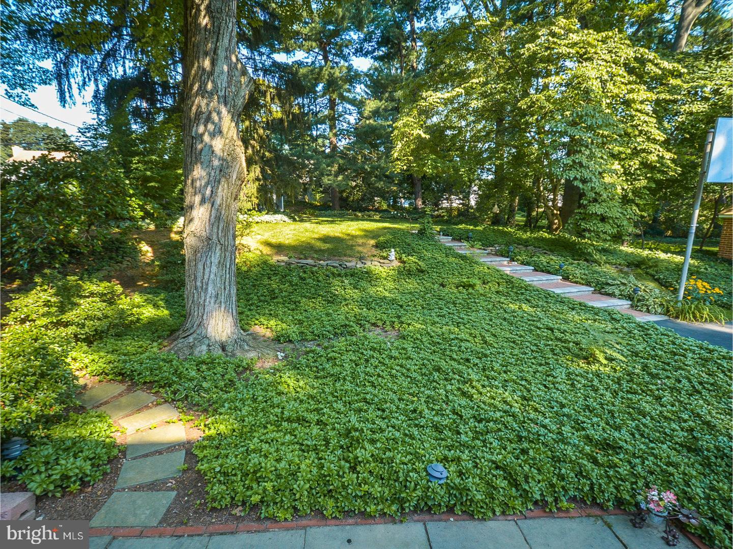 517 Marks Road Oreland, PA 19075 - Photo 17 of 21 Back Yard