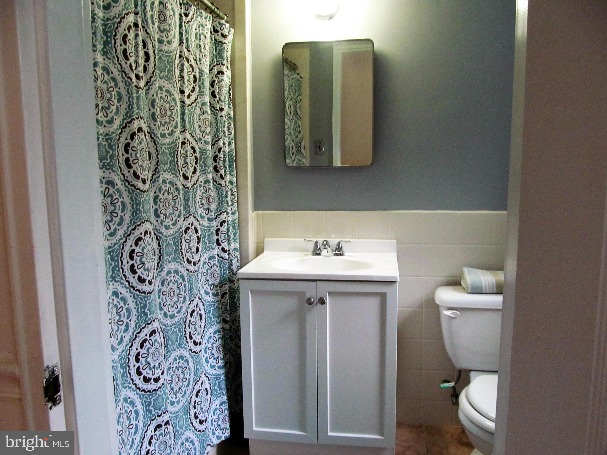 9015 Linton Street Silver Spring, MD 20903 - Photo 14 of 18 Bath lower level
