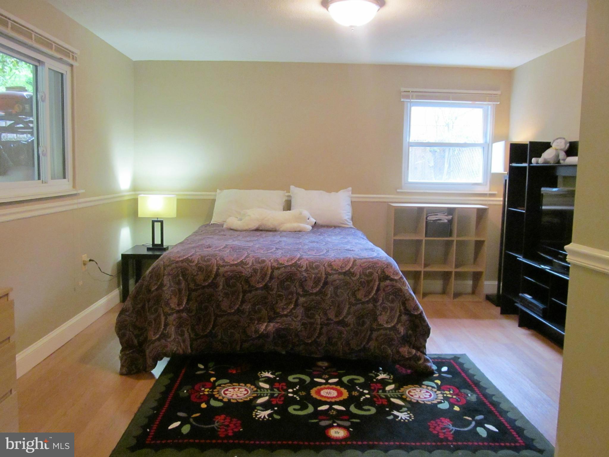 9015 Linton Street Silver Spring, MD 20903 - Photo 15 of 18 Family Room or guest room, lower level