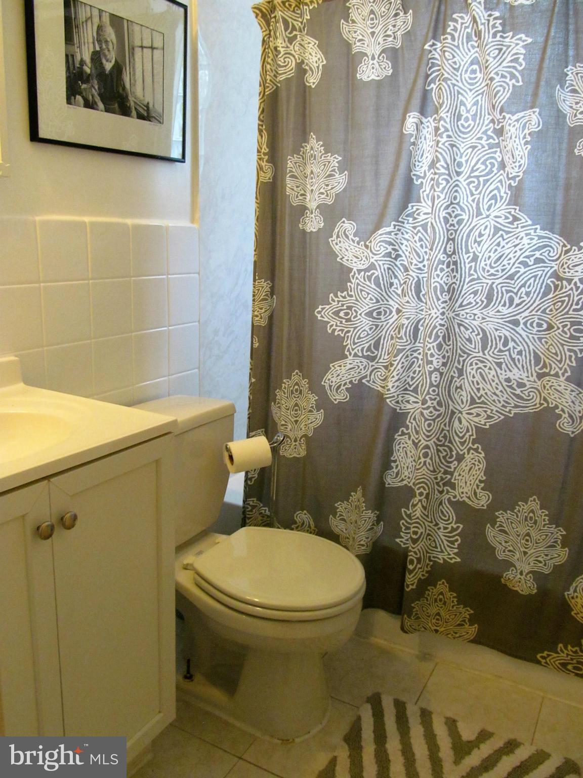 9015 Linton Street Silver Spring, MD 20903 - Photo 10 of 18 Bath