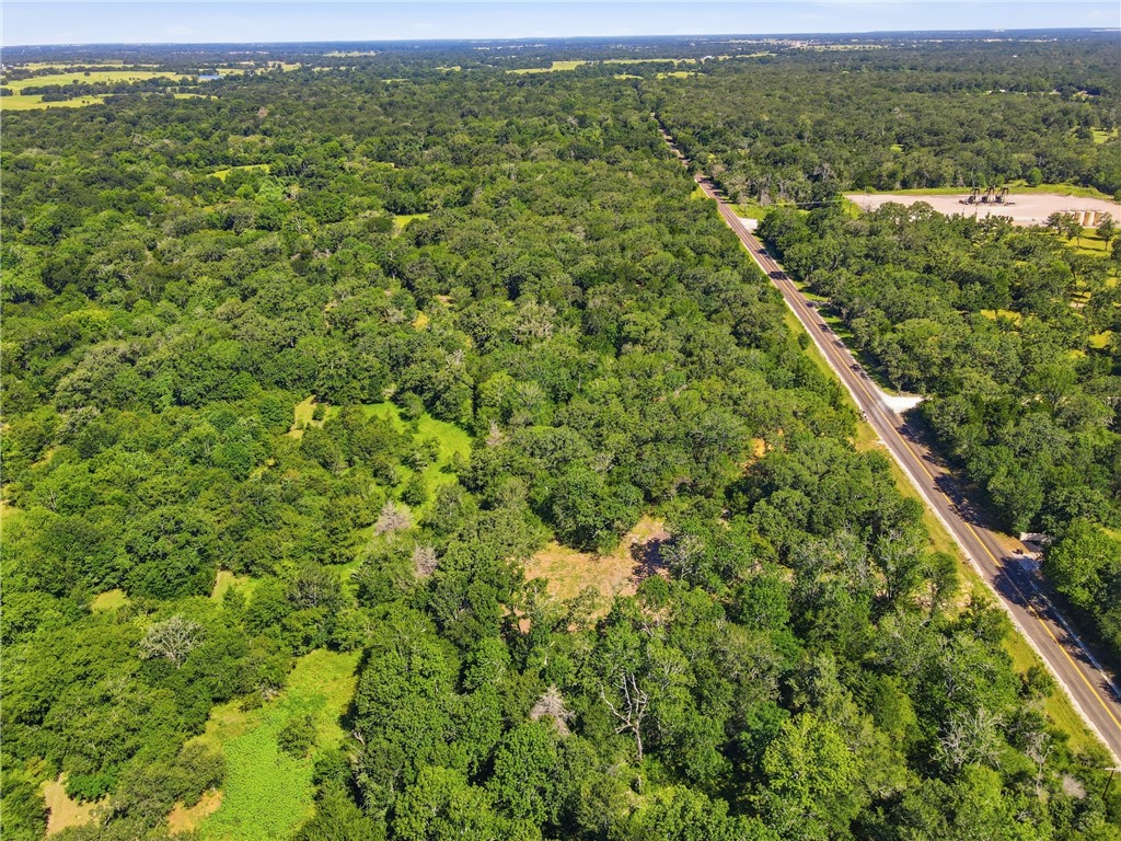 Tbd Grassbur Road Bryan, TX 77808 - Photo 14 of 18