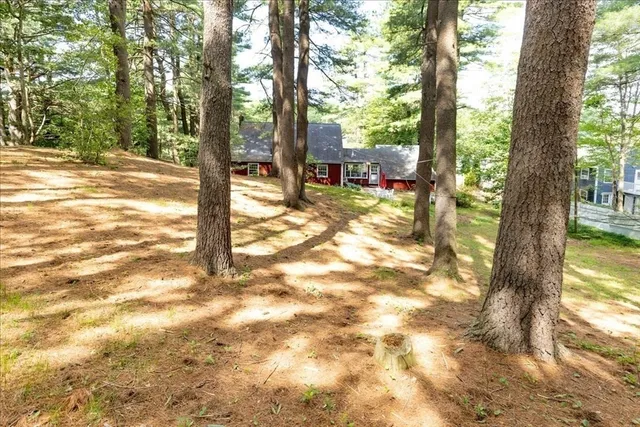 a view of a yard with a tree