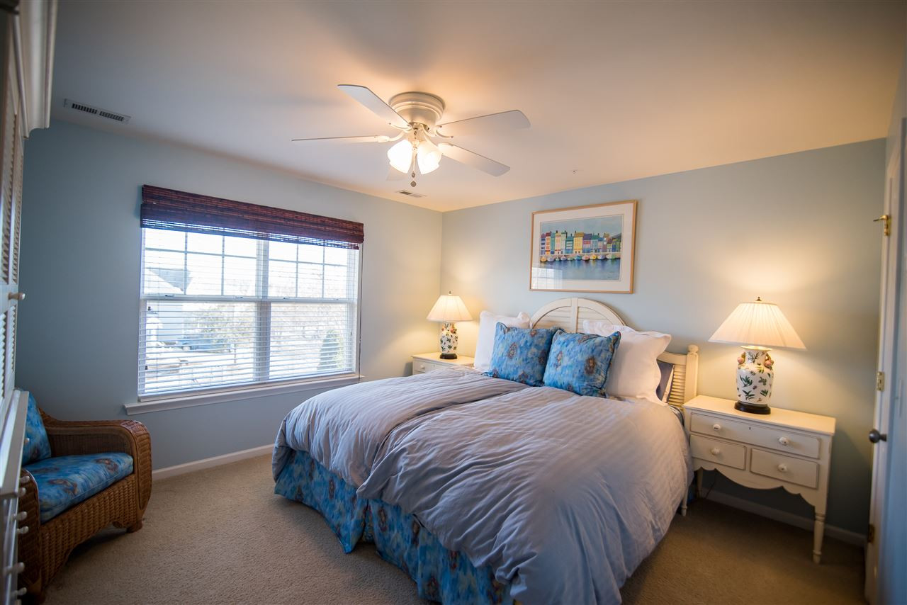 2307 Bright Future Way Raleigh, NC 27614 - Photo 17 of 23 Bedroom featuring plush carpet, ceiling fan and double windows. Bedroom
