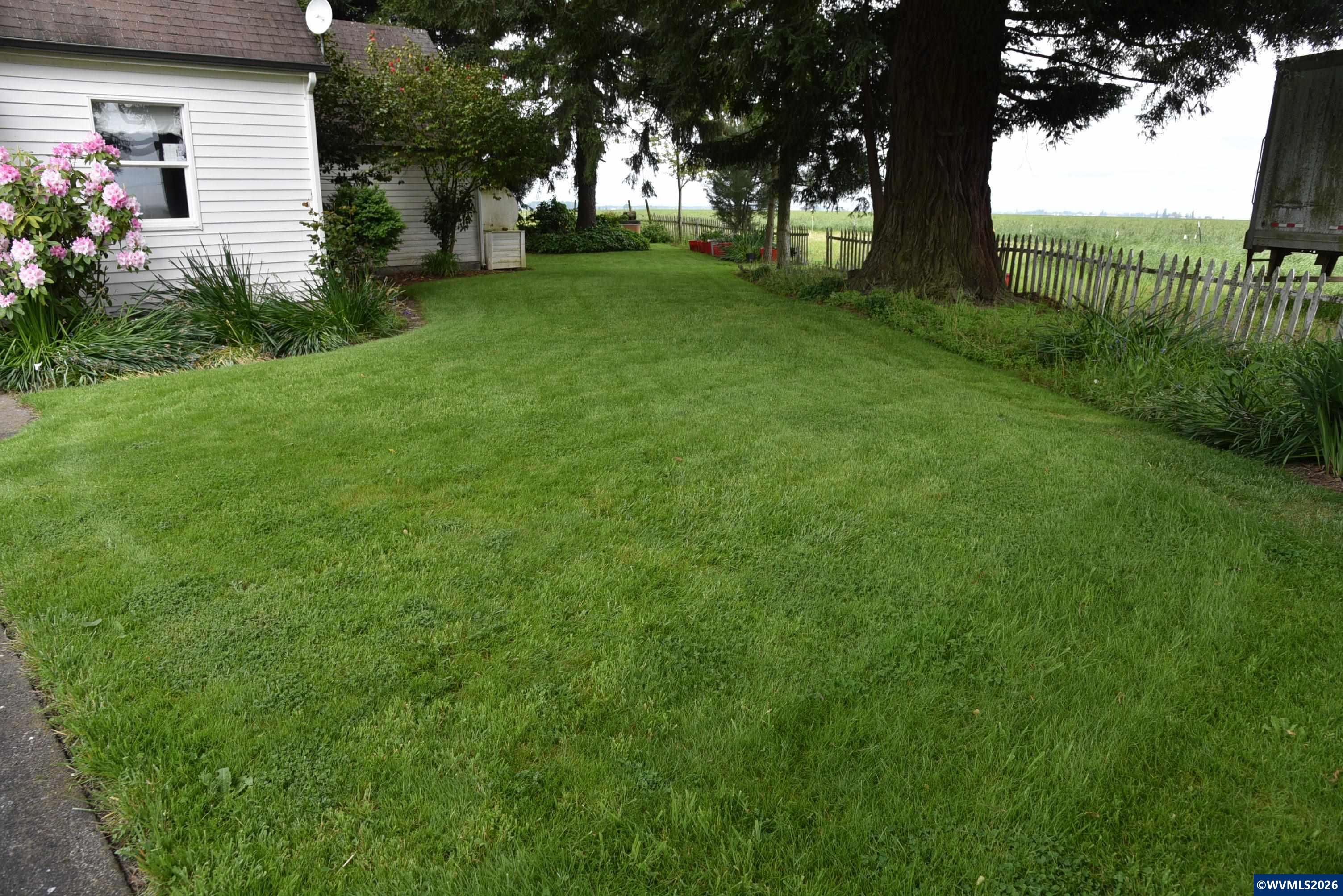 25258 Rowland Road Harrisburg, OR 97446 - Photo 13 of 24 a view of a garden with a tree