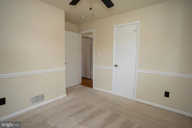 a view of backyard with tree