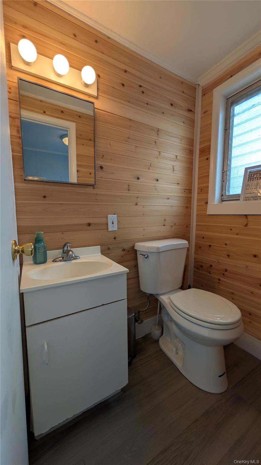 191 Sylvan Lake Road, Unit 28A Hopewell Junction, NY 12533 - Photo 21 of 38 a bathroom with a toilet a sink and mirror