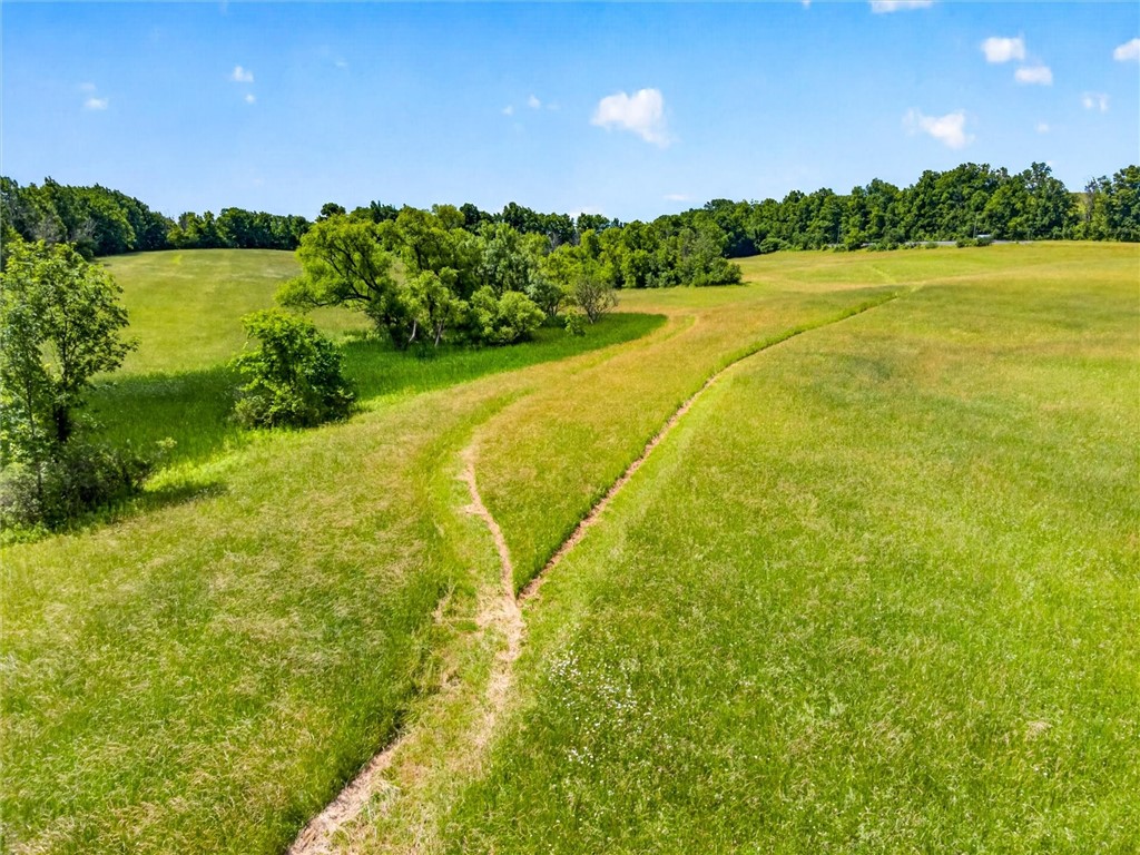 7142 Woolston Road East Bloomfield, NY 14469 - Photo 39 of 48 20 acres Section (Hay field)
