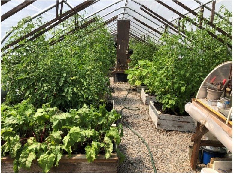 387 Smith Ridge Road Dennysville, ME 04628 - Photo 24 of 36 23