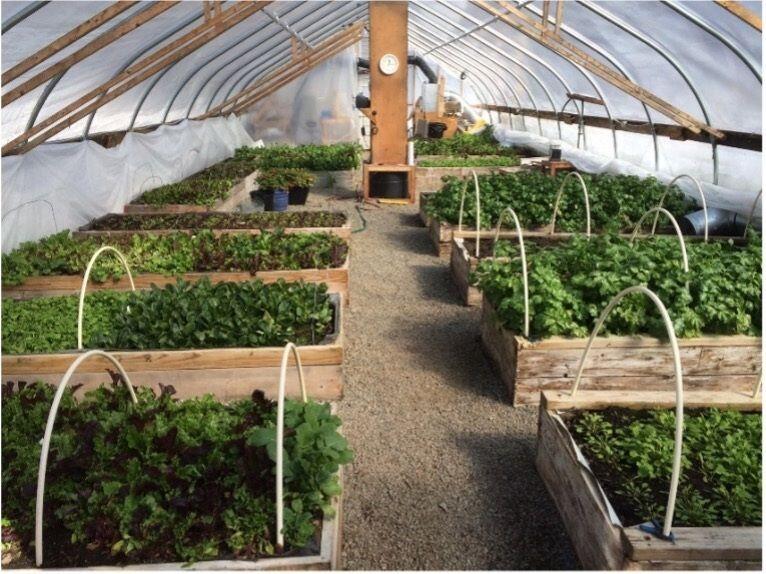 387 Smith Ridge Road Dennysville, ME 04628 - Photo 25 of 36 24