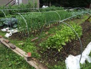 387 Smith Ridge Road Dennysville, ME 04628 - Photo 26 of 36 25