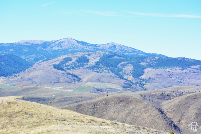 900 West Smit Road Georgetown, ID 83239 - Photo 33 of 52 West view