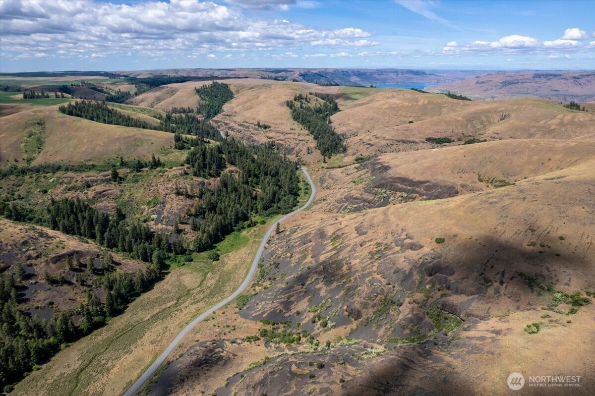 45000 Hanson Harbor Road North Wilbur, WA 99185 - Photo 13 of 34