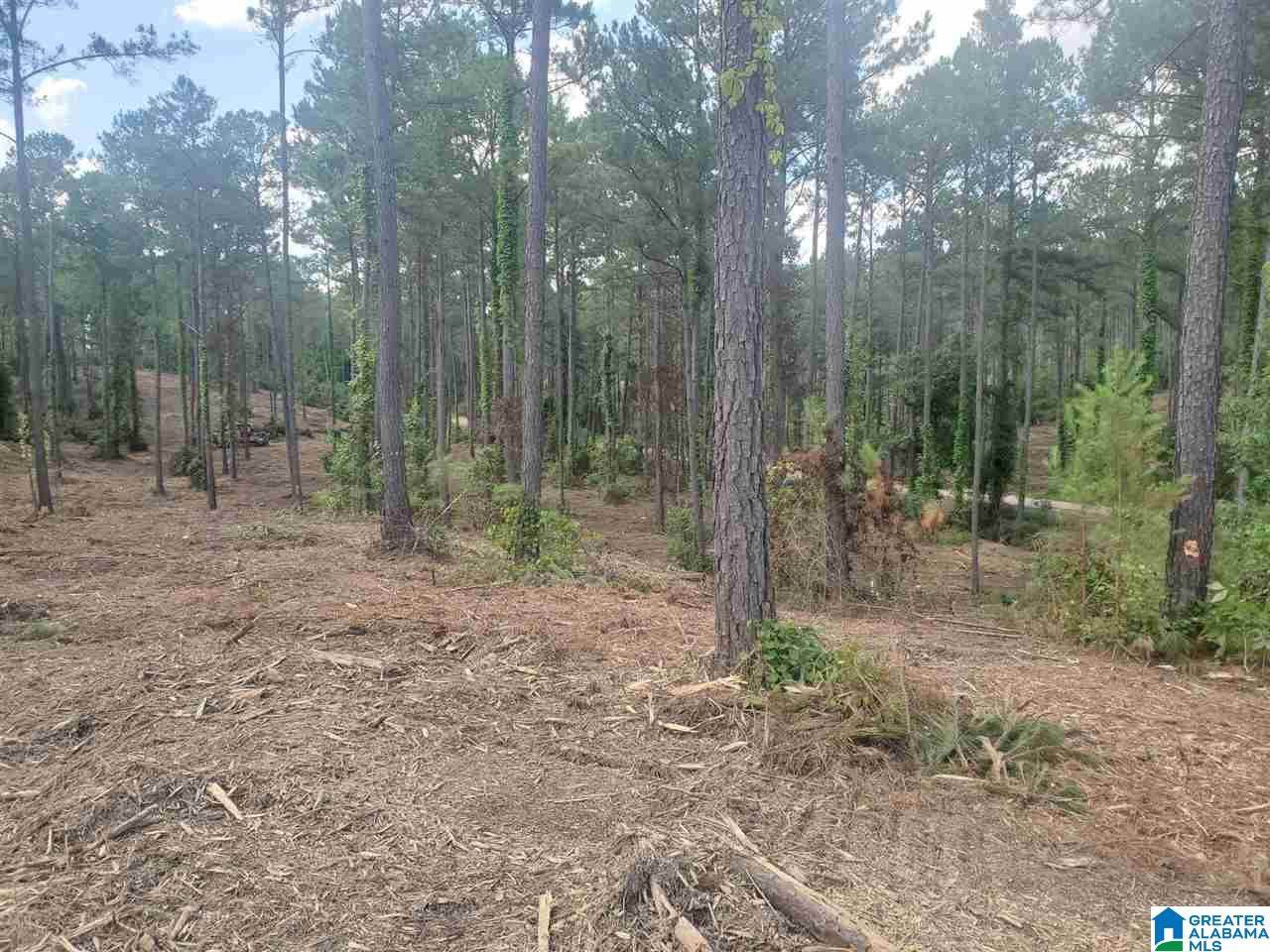.2 Gould Road, Unit 3 Columbiana, AL 35051 - Photo 8 of 11