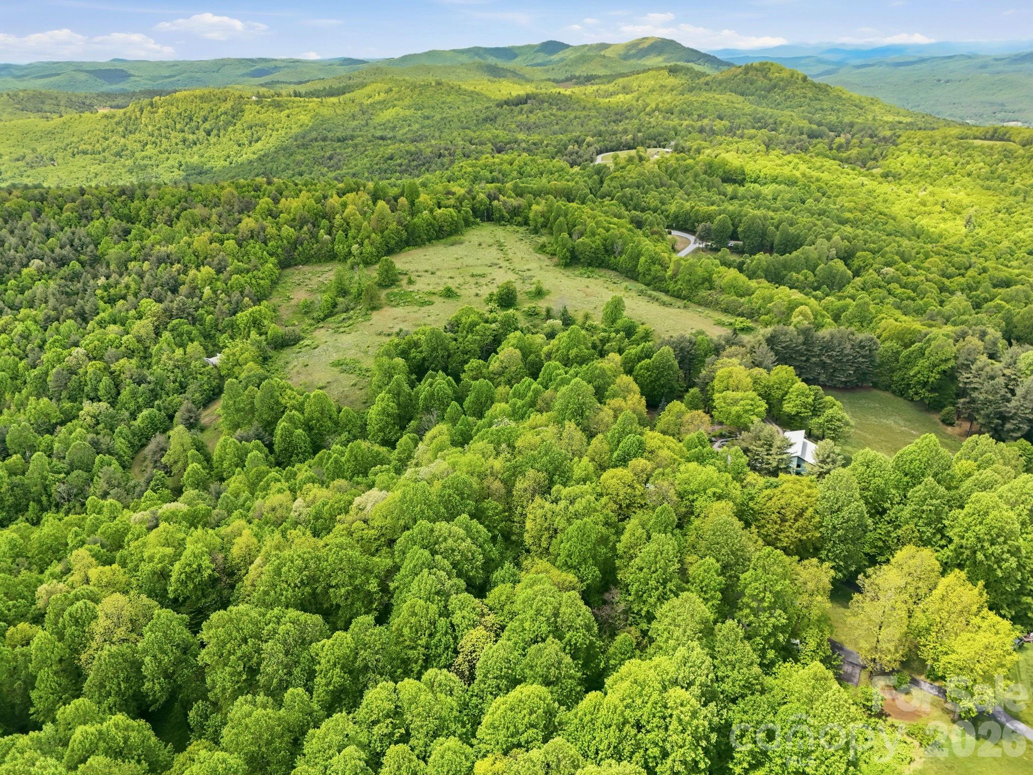 4105 Pinnacle Mountain Road Zirconia, NC 28790 - Photo 5 of 23 a view of a field with an ocean view