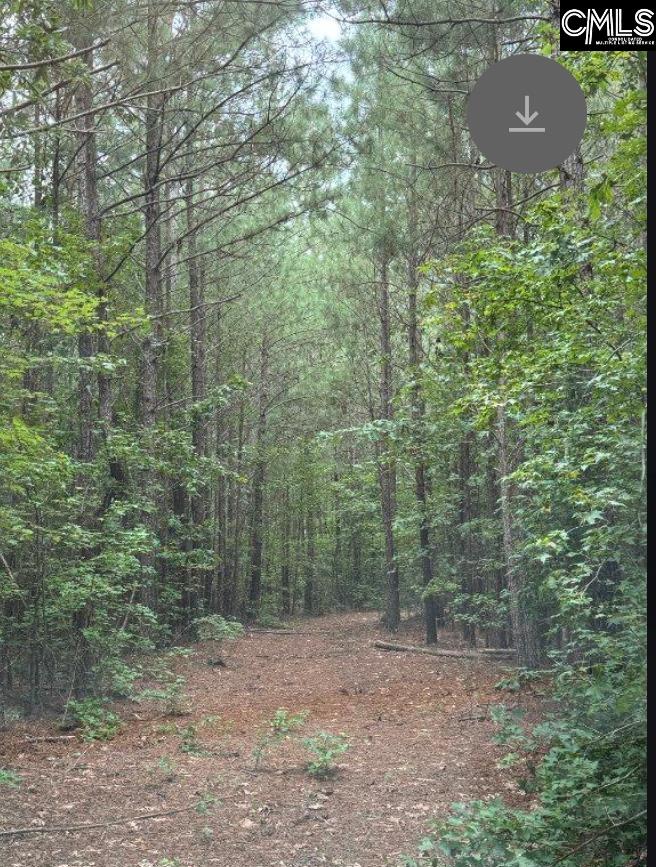 Lot L Old Edgefield Road Troy, SC 29848 - Photo 5 of 6