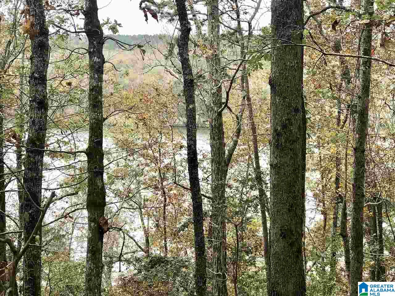 0 Sleepy Hollow Road, Unit 75 Rockford, AL 35136 - Photo 24 of 33