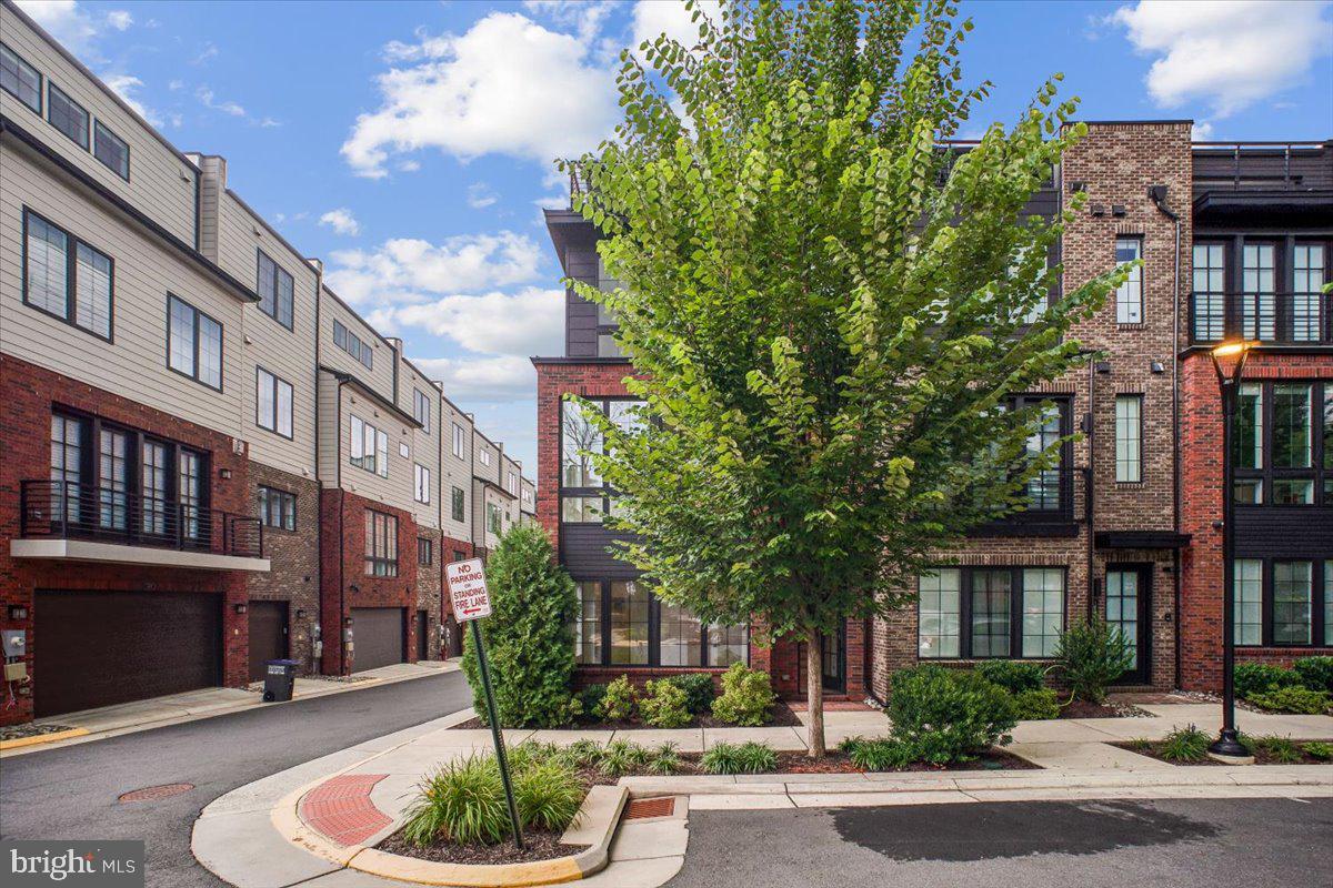 11711 Paysons Way Reston, VA 20191 - Photo 5 of 64 Sidewalks & Street Lights