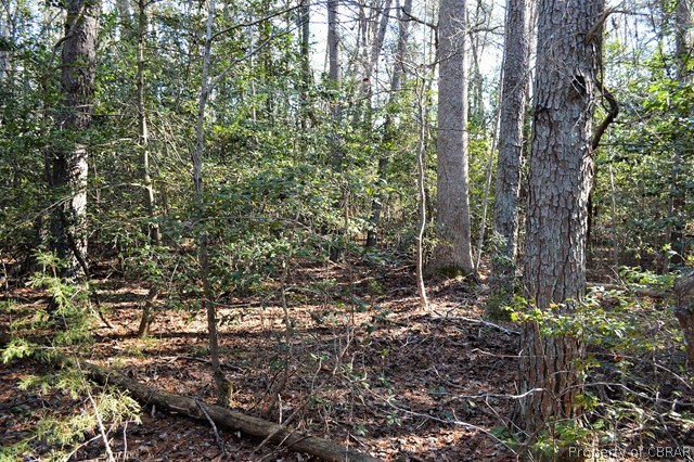 Lot 16 Island Point Road Lottsburg, VA 22511 - Photo 5 of 5