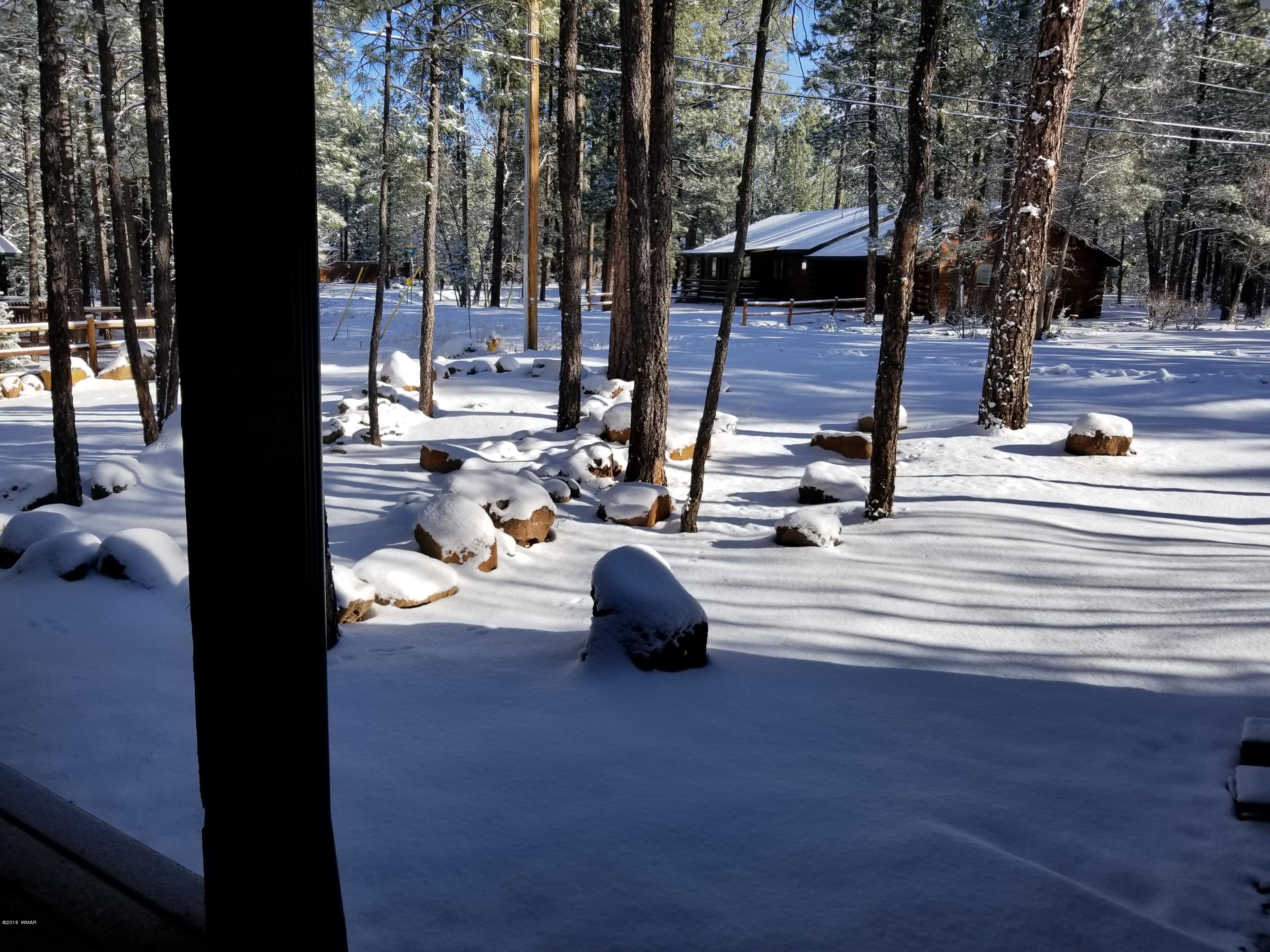 2962 Chestnut Circle, Unit 3 Pinetop, AZ 85935 - Photo 6 of 35 a view of a park with large trees