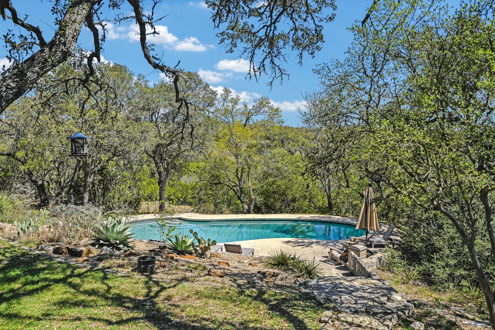 411 Whitetail Ridge Austin, TX 78737 - Photo 24 of 38 Swimming pool featuring a patio