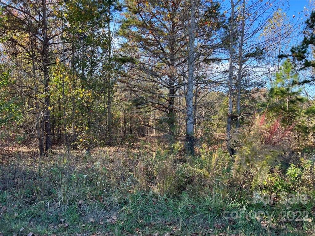 0 Nolan Road, Unit 115 Lawndale, NC 28090 - Photo 7 of 10 Gallery Image 7